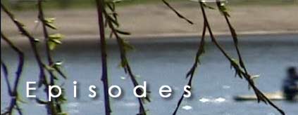 Video episode is your short  movie with transitions, background  music, titles. It is easy to combine multiple episodes on a DVD disk. It is a pleasure to watch them, it is easy to copy  and share.